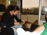 paolamichele.jpg (55329 byte)